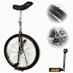 Indy 24 inch Trainer Unicycle