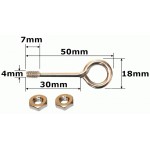 2 x 50mm eyebolt with 4 nuts (for fire poi heads)